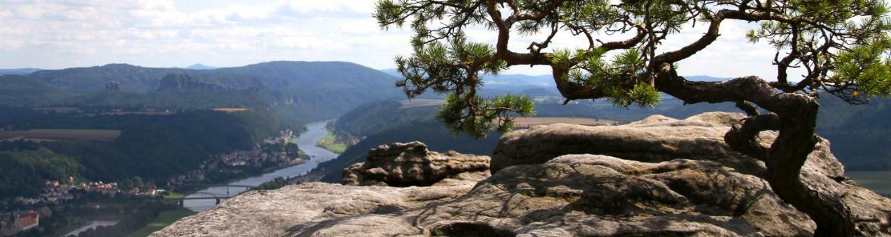 Menuett Bad Schandau